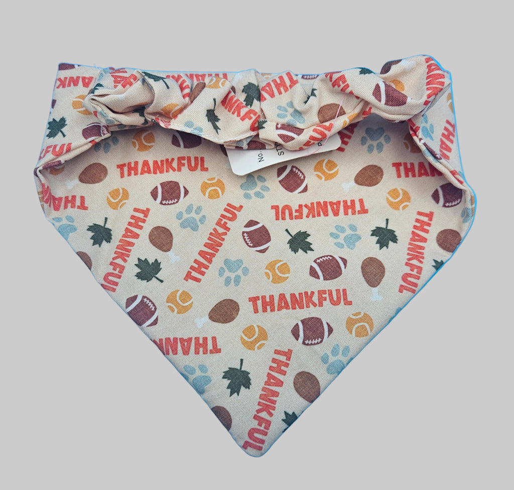 Thankful Thanksgiving