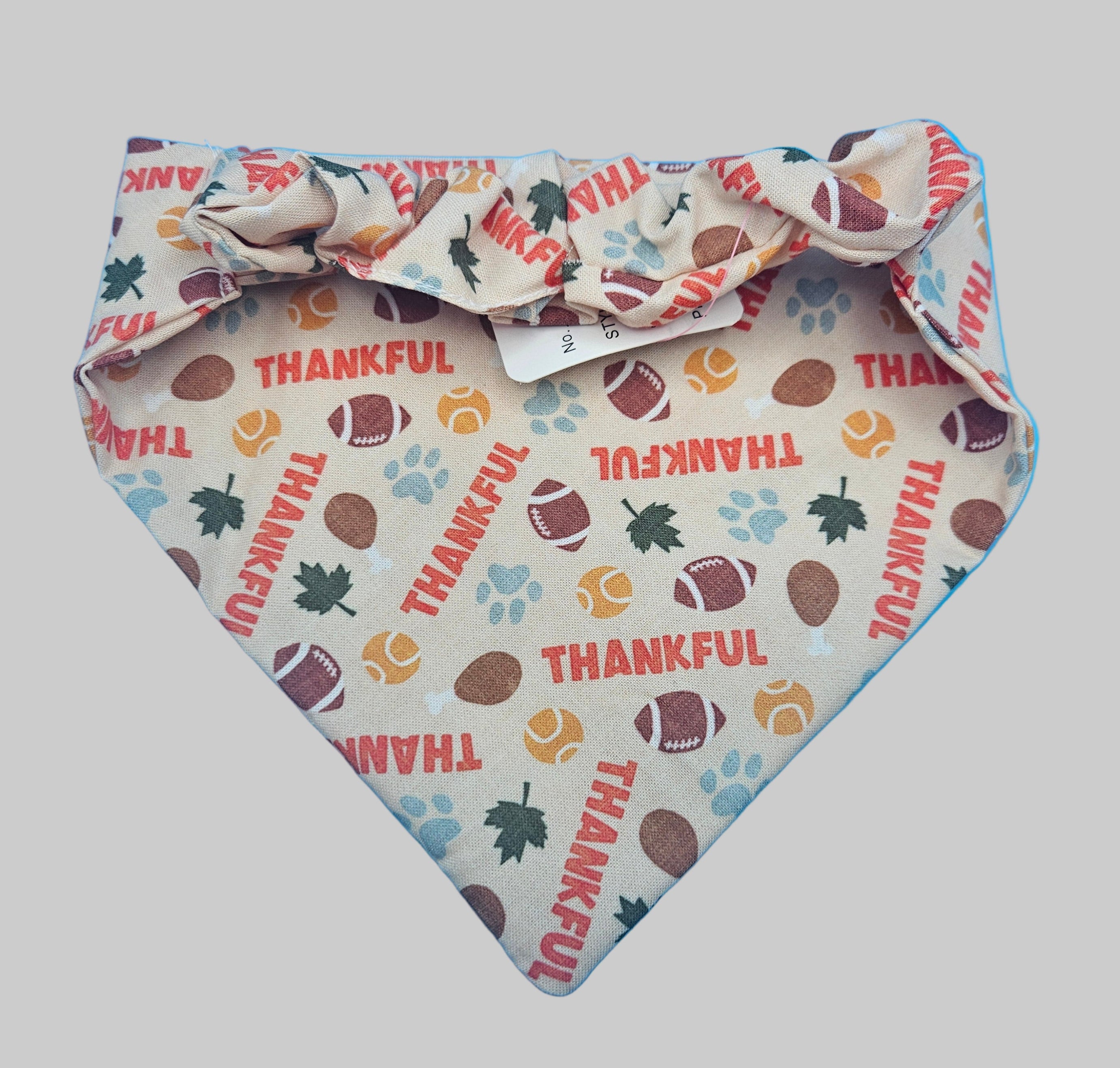 Thankful Thanksgiving