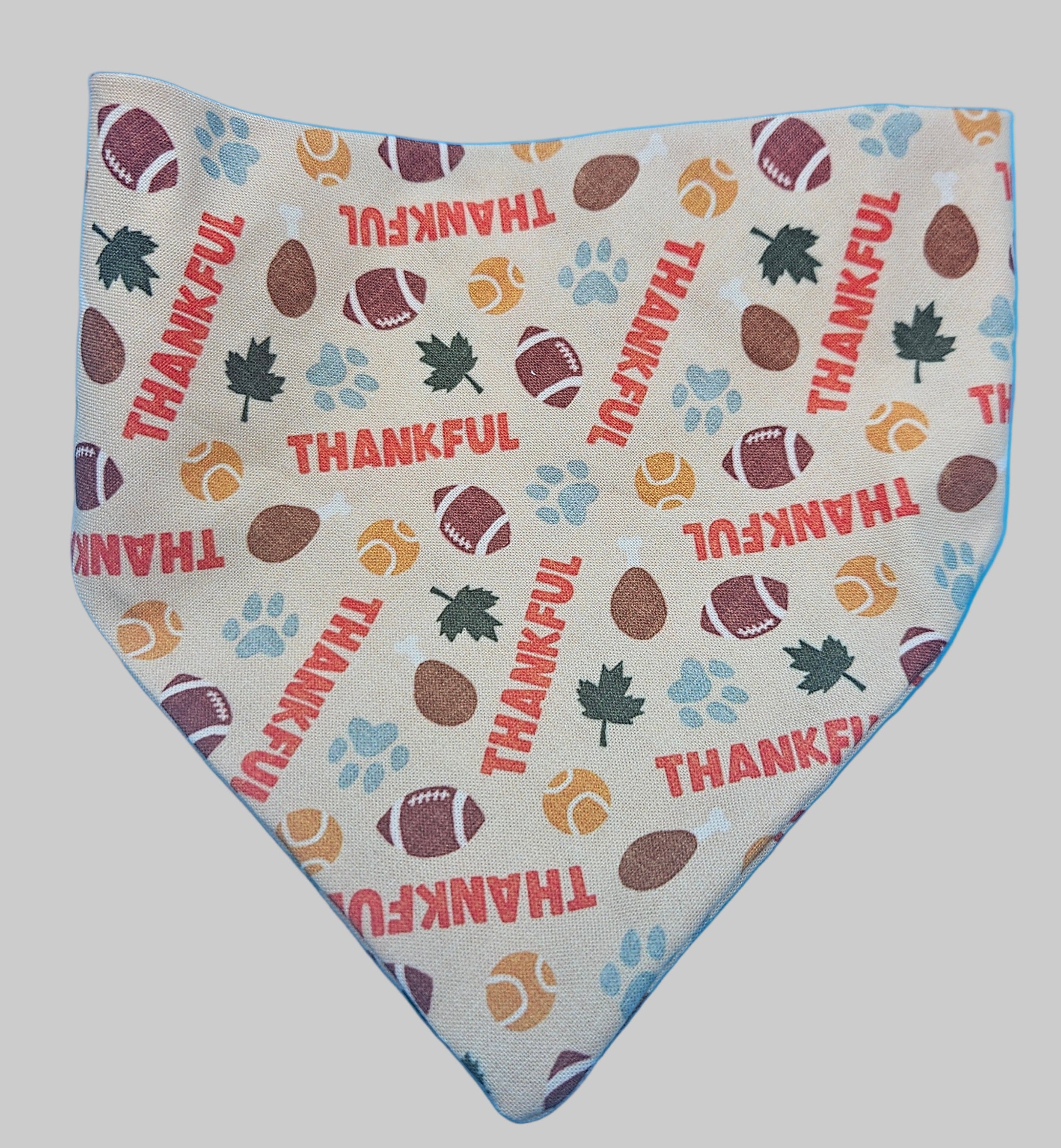 Thankful Thanksgiving